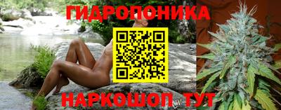 эйфоретик Коммунар