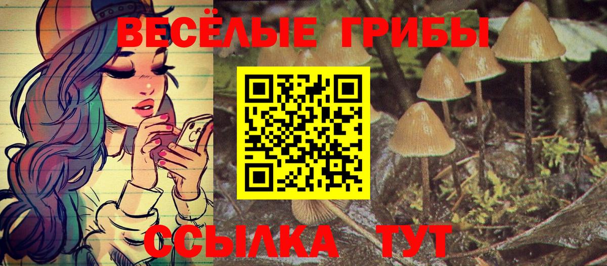Галлюциногенные грибы MAGIC MUSHROOMS  Вход с VPN  Галлюциногенные грибы прущие грибы  Костомукша 